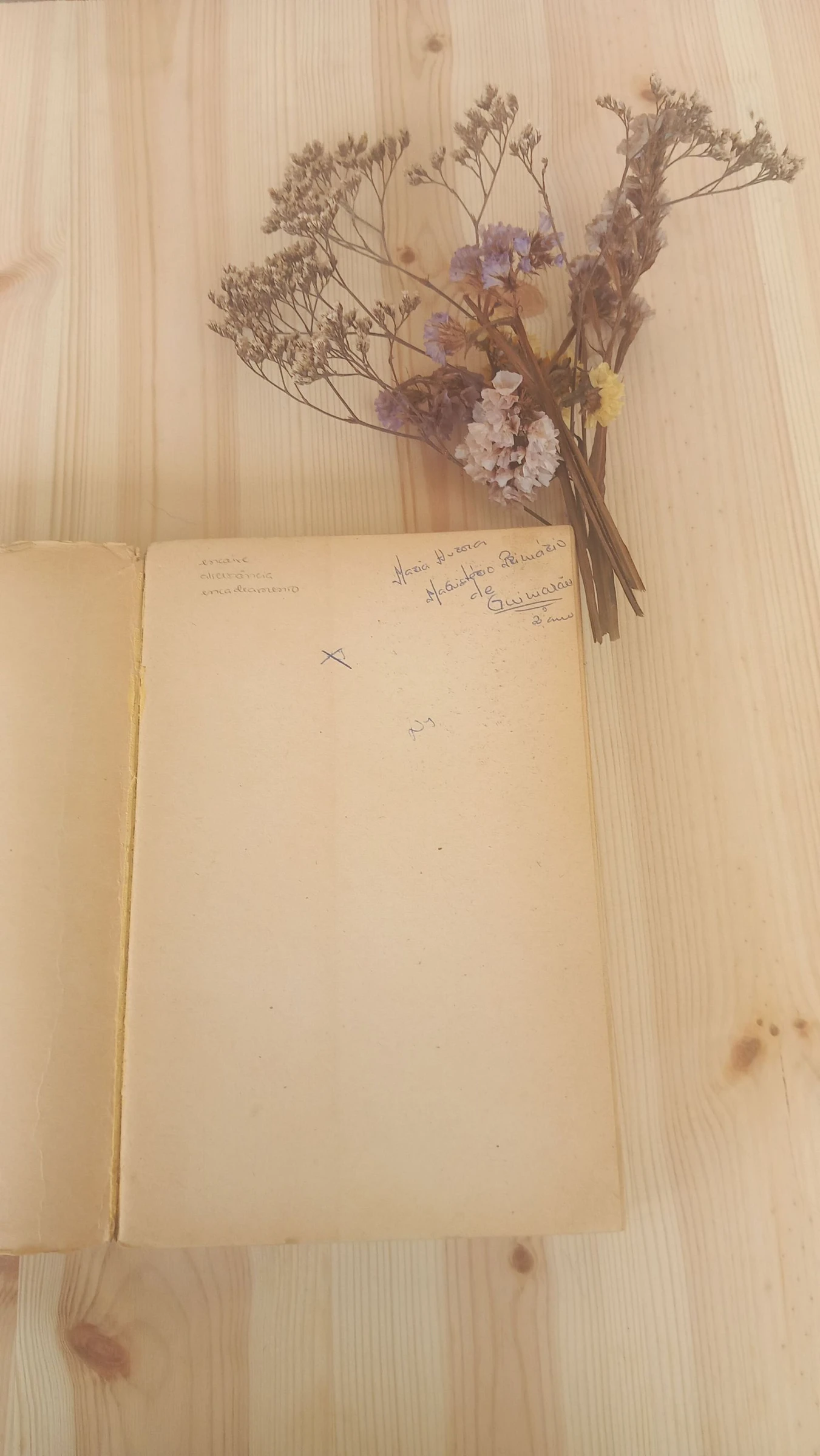 Domingo à Tarde, Fernando Namora | Editora: Livraria Bertrand – photo 3